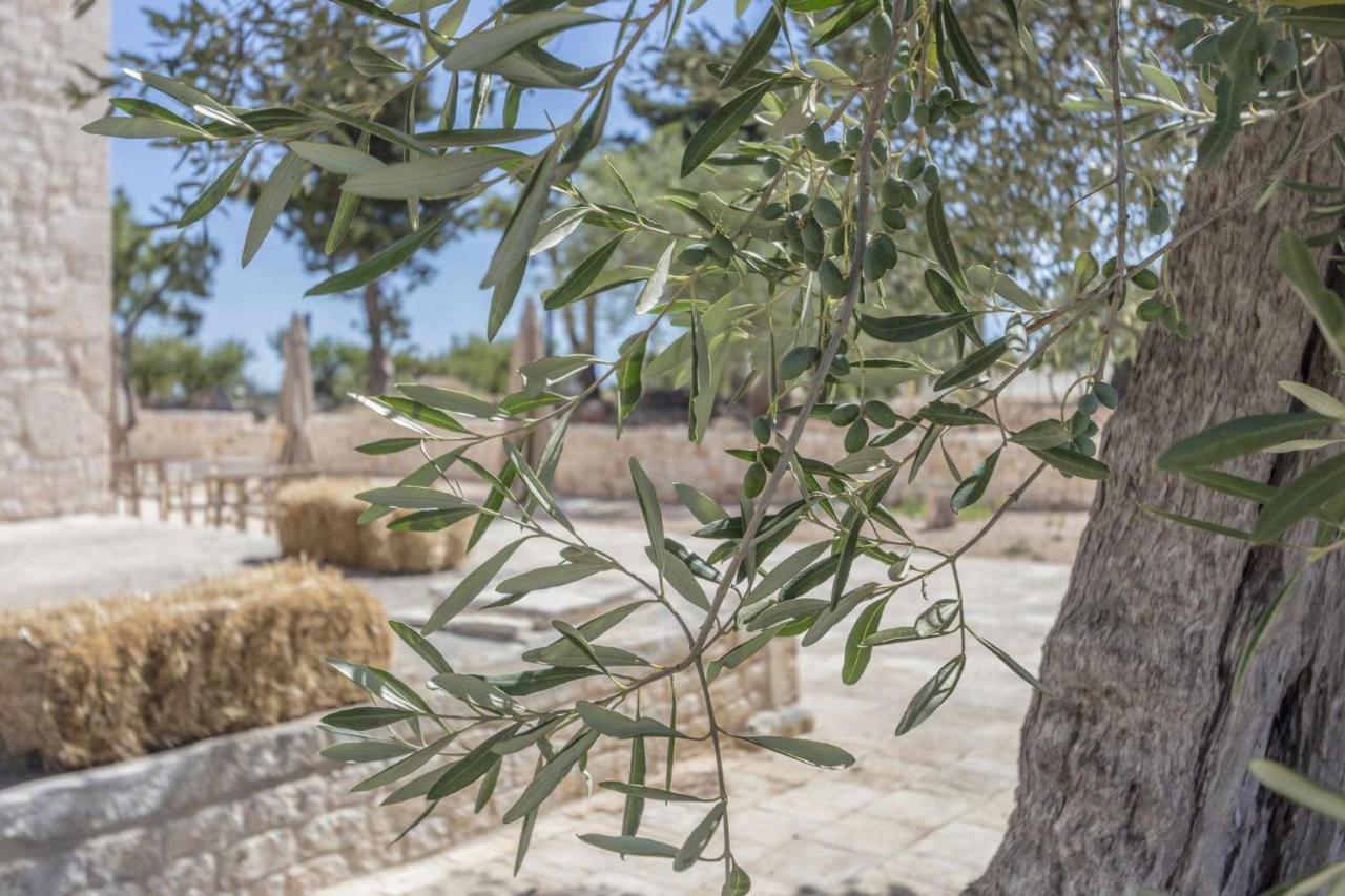 Masseria Fanizzi Villa Conversano Esterno foto