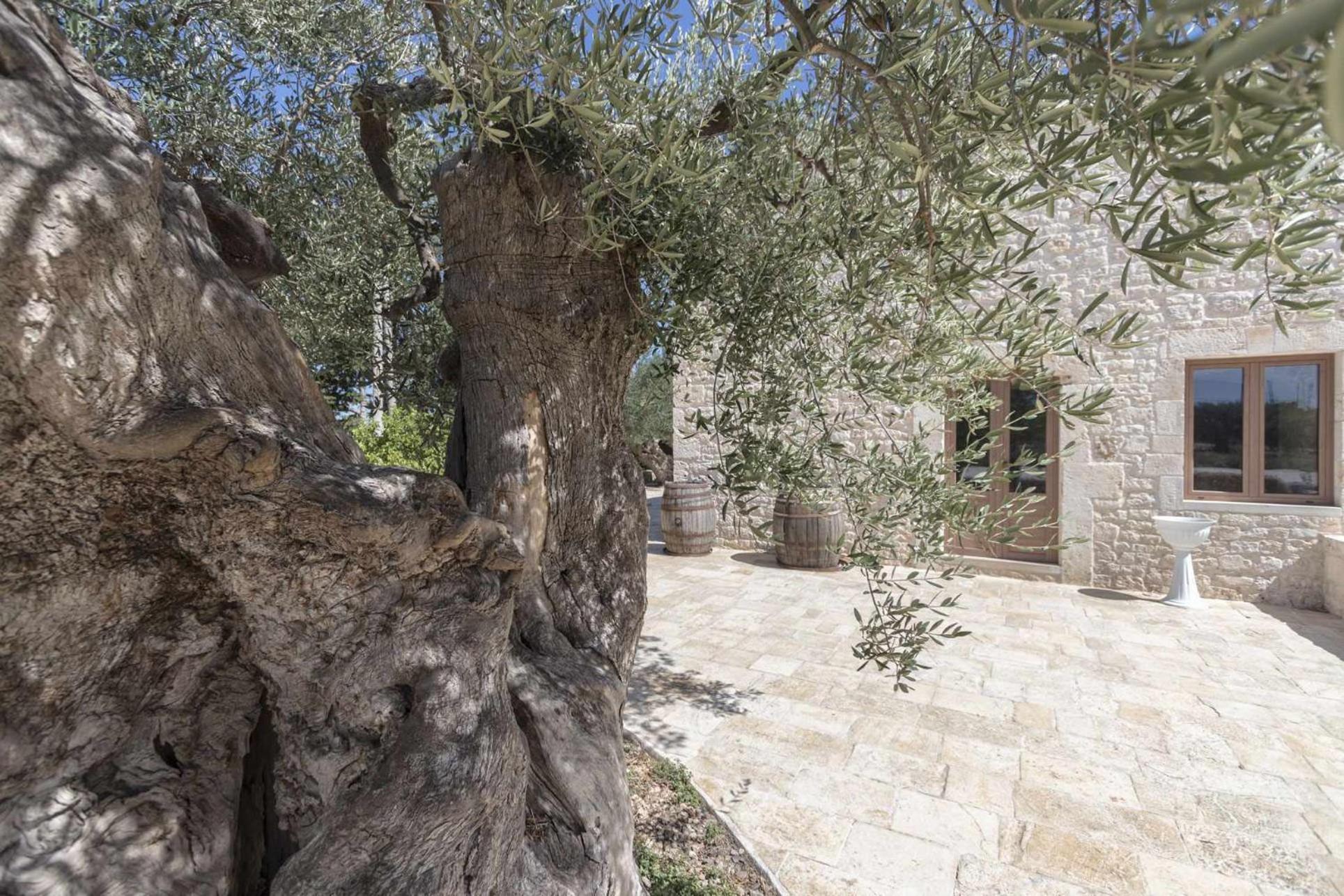 Masseria Fanizzi Villa Conversano Camera foto